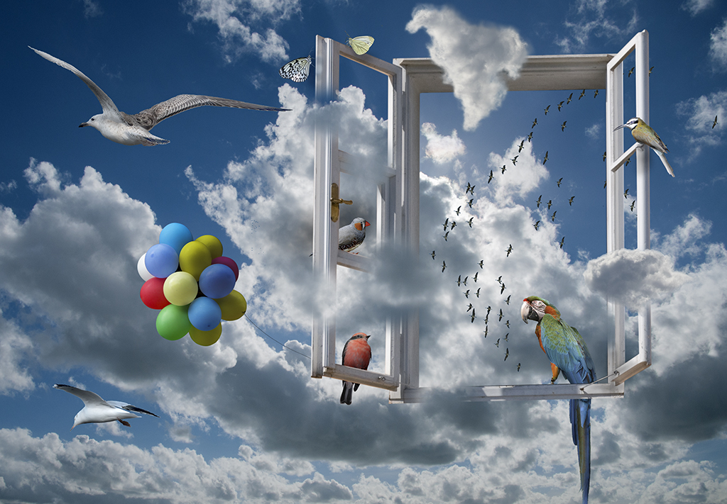 Fenster Himmel Vögel Original Kopie.jpg